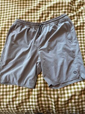 Men's Lightweight Gray Swim Shorts Freefly Aparrel